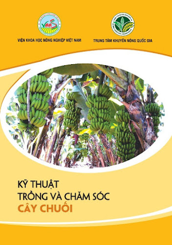 Kỹ Thuật Trồng Và Chăm Sóc Cây Chuối (NXB Hà Nội 2017) - Trần Danh Sửu, 32 Trang