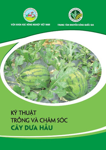 Kỹ Thuật Trồng Và Chăm Sóc Cây Dưa Hấu (NXB Hà Nội 2017) - Trần Danh Sửu, 32 Trang