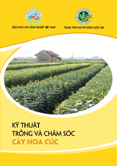 Kỹ Thuật Trồng Và Chăm Sóc Cây Hoa Cúc (NXB Hà Nội 2017) - Trần Danh Sửu, 32 Trang