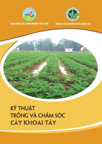 Kỹ Thuật Trồng Và Chăm Sóc Cây Khoai Tây (NXB Hà Nội 2017) - Trần Danh Sửu, 32 Trang