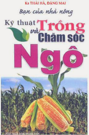 Kỹ Thuật Trồng Và Chăm Sóc Ngô (NXB Hồng Đức 2011) - Thái Hà, 105 Trang