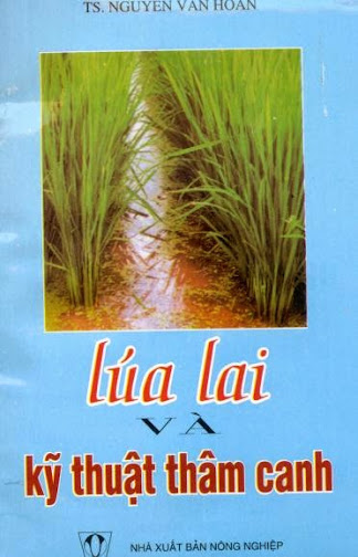 Lúa Lai Và Kỹ Thuật Thâm Canh (NXB Nông Nghiệp 2000) - Nguyễn Văn Hoan, 144 Trang