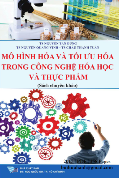 Mô Hình Hóa Và Tối Ưu Hóa Trong Công Nghệ Hóa Học Và Thực Phẩm - Nguyễn Tấn Dũng, 258 Trang