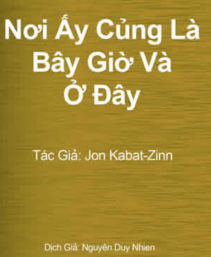 Nơi Ấy Cũng Là Bây Giờ Và Ở Đây (NXB Sinh Thức 2008) - Jon Kabat Zinn, 539 Trang