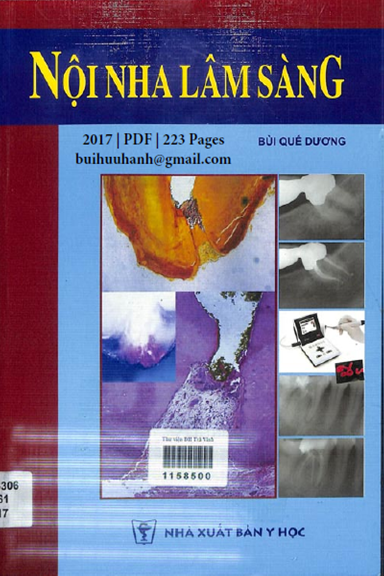 Nội Nha Lâm Sàng (NXB Y Học 2017) - Bùi Quế Dương, 223 Trang