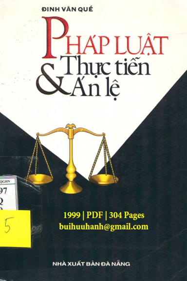 Pháp Luật Thực Tiễn Và Án Lệ (NXB Đà Nẵng 1999) - Đinh Văn Quế, 304 Trang