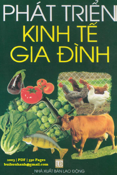 Phát Triển Kinh Tế Gia Đình (NXB Lao Động 2003) - Bích Hường, 330 Trang