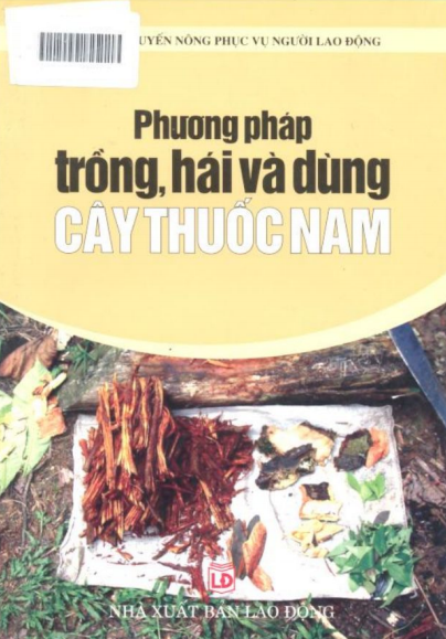 Phương Pháp Trồng, Hái Và Dùng Cây Thuốc Nam (NXB Lao Động 2006) - Chu Thị Thơm, 137 Trang