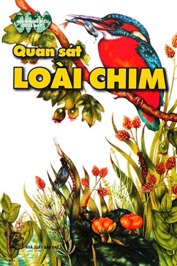 Quan Sát Loài Chim (NXB Trẻ 2004) - Nguyễn Tứ, 81 Trang