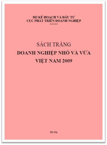 Sách Trắng Doanh Nghiệp Nhỏ Và Vừa Việt Nam 2009 (NXB Hà Nội 2010) - Bộ Kế Hoạch, 65 Trang
