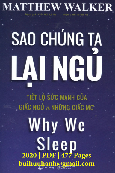 Sao Chúng Ta Lại Ngủ (NXB Lao Động 2020) - Matthew P. Walker, 477 Trang