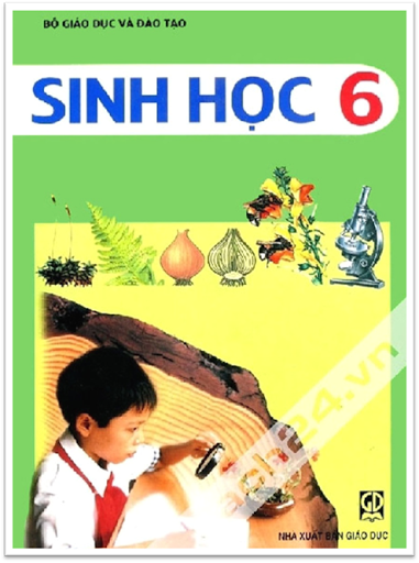 Sinh Học 6 (NXB Giáo Dục 2010) - Nguyễn Quang Vinh, 179 Trang