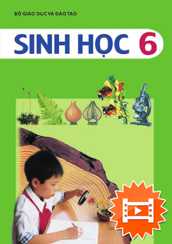 Sinh Học 6 (NXB Giáo Dục 2014) - Nguyễn Quang Vinh, 179 Trang