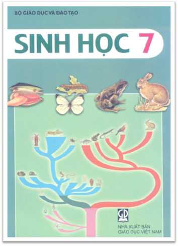 Sinh Học 7 (NXB Giáo Dục 2011) - Nguyễn Quang Vinh, 209 Trang