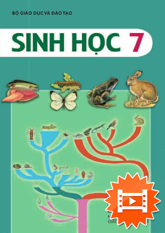 Sinh Học 7 (NXB Giáo Dục 2016) - Nguyễn Quang Vinh, 208 Trang