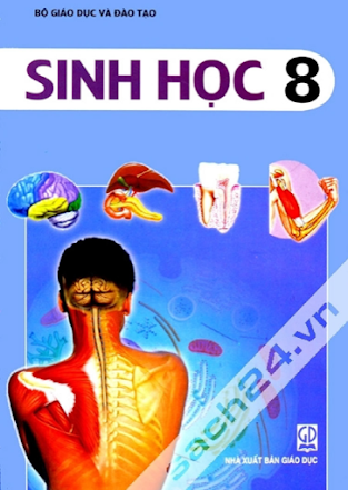 Sinh Học 8 (NXB Giáo Dục 2011) - Nguyễn Quang Vinh, 215 Trang