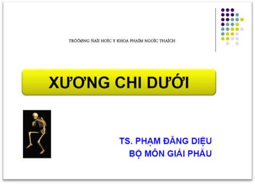 Slide Bài Giảng Xương Chi Dưới - Phạm Đăng Diệu, 45 Trang