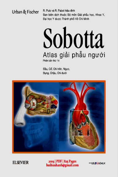 Sobotta Atlas Giải Phẫu Người (NXB Dân Trí 2019) - R. Putz, 825 Trang