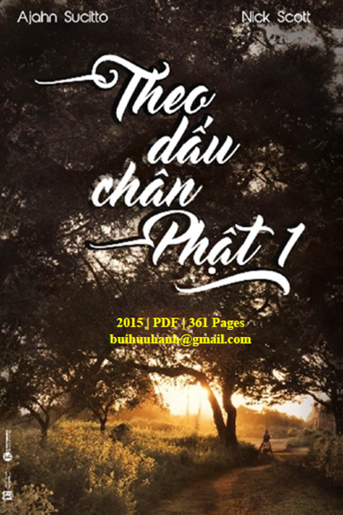 Theo Dấu Chân Phật 1 (NXB Lao Động 2015) - Ajahn Sucitto, 360 Trang