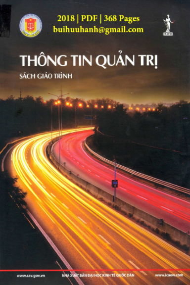 Thông Tin Quản Trị (NXB Kinh Tế Quốc Dân 2018) - Đào Việt Hương, 368 Trang