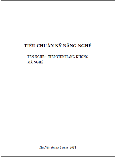 Tiếp Viên Hàng Không (NXB Hà Nội 2011) - Dương Cao Thái Nguyên, 94 Trang