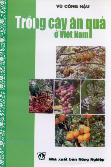 Trồng Cây Ăn Quả Ở Việt Nam (NXB Nông Nghiệp 1999) - Vũ Công Hậu, 502 Trang