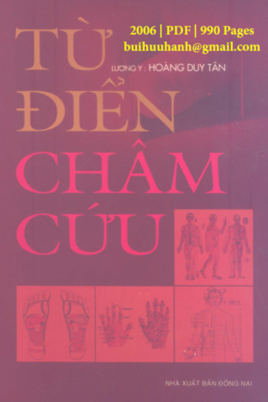 Từ Điển Châm Cứu (NXB Đồng Nai 2006) - Hoàng Duy Tân, 990 Trang