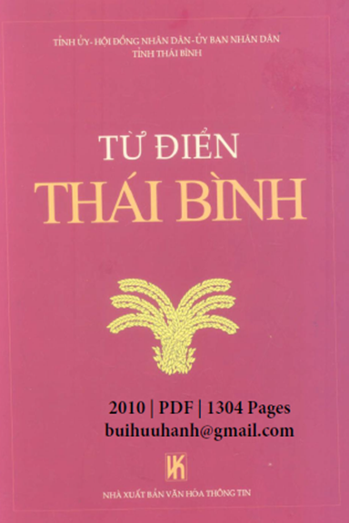 Từ Điển Thái Bình (NXB Văn Hóa Thông Tin 2010) - Nguyễn Quang Ân, 1304 Trang