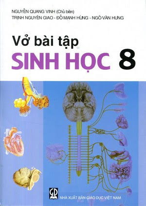 Vở Bài Tập Sinh Học 8 (NXB Giáo Dục 2010) - Nguyễn Quang Vinh, 178 Trang